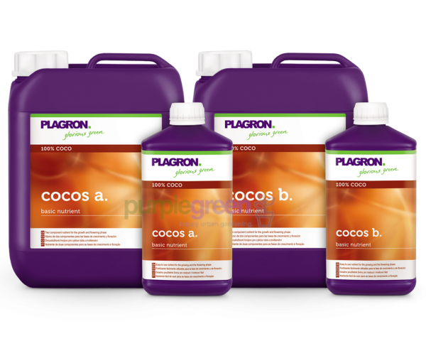 Plagron Cocos A und B purplegreen Linz